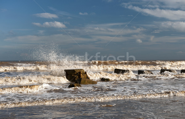 Fraisthrope Stock photo © HJpix