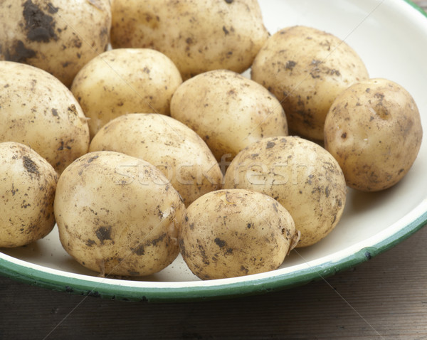 New Potatoes Stock photo © HJpix