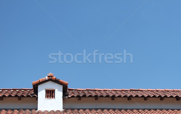 Roof Stock photo © hlehnerer