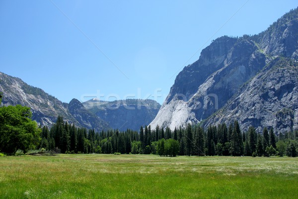 Yosemite Valley Stock photo © hlehnerer