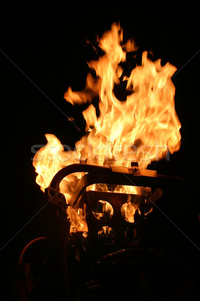 Flames Stock photo © hlehnerer