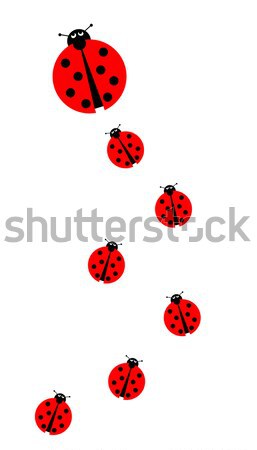 Many Ladybugs Stock photo © hlehnerer