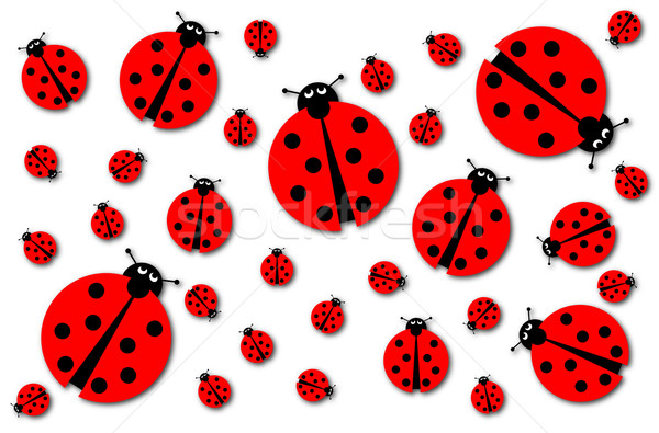 Many Ladybugs Shadows Stock photo © hlehnerer