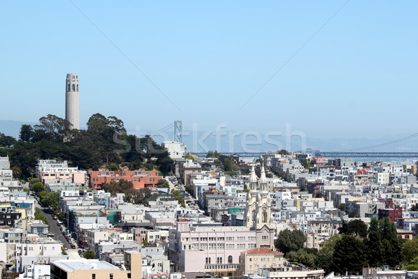 San Francisco Coit Tower Stock photo © hlehnerer