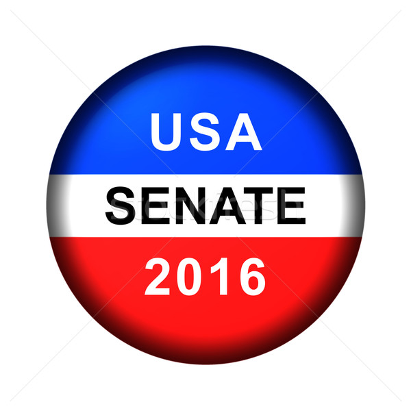 Vote Button Senate Stock photo © hlehnerer