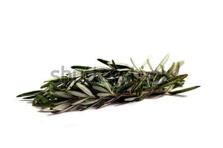 Rosemary Stock photo © hlehnerer