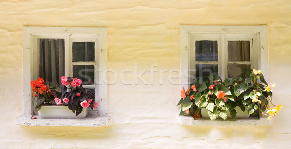 Dois rural windows casa parede janela Foto stock © Hochwander