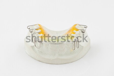 Zahnärztliche Platte weiß Modell Schönheit Brücke Stock foto © Hochwander