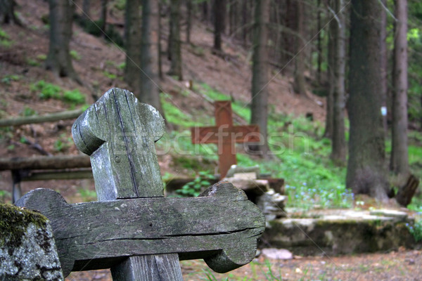 wooden cross on old german cemetery in Gluszyca (Poland) Stock photo © Hochwander