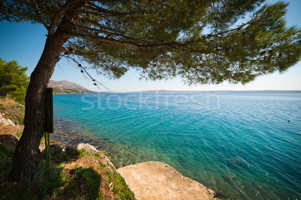 Kroatien Wasser Meer Sommer Kiefer Küste Stock foto © Hochwander