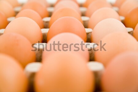 plenty of eggs Stock photo © Hochwander