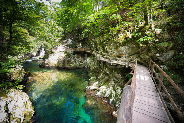 Kanion dolinie piękna miejsce Słowenia most Zdjęcia stock © Hochwander