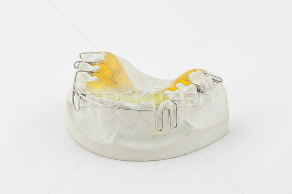 Tandheelkundige plaat witte model schoonheid brug Stockfoto © Hochwander