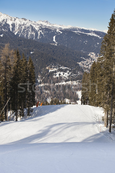 Stockfoto: Winter · landschap · foto · Italiaans · boom · bos