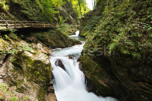 Desfiladeiro vale belo lugar Eslovenia ponte Foto stock © Hochwander