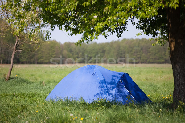 Azul tenda árvore verão paisagem grama Foto stock © Hochwander