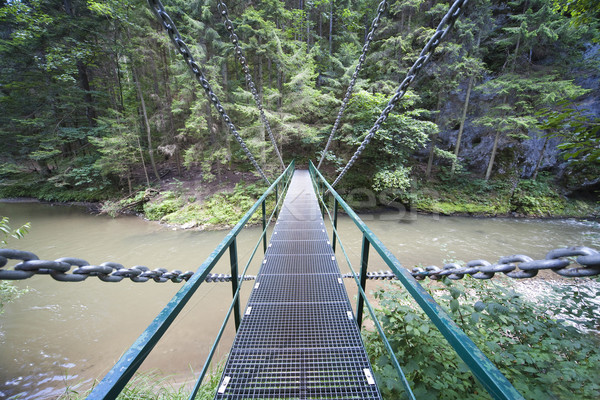 Brücke Fluss Paradies Park Baum Berg Stock foto © Hochwander