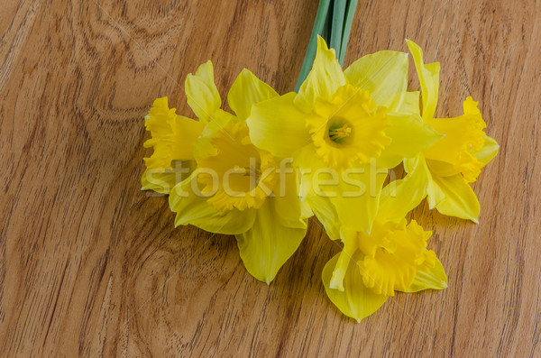 Jonquil flowers Stock photo © homydesign