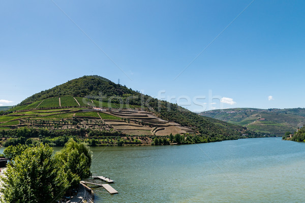 Stock photo: Point of view shot of terraced vineyards in Douro Valley