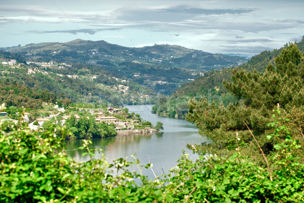 Douro Valley Stock photo © homydesign