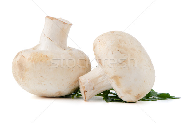 Champignon mushrooms and parsley leaves  Stock photo © homydesign