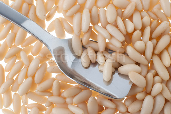 Pine nuts and spoon Stock photo © homydesign