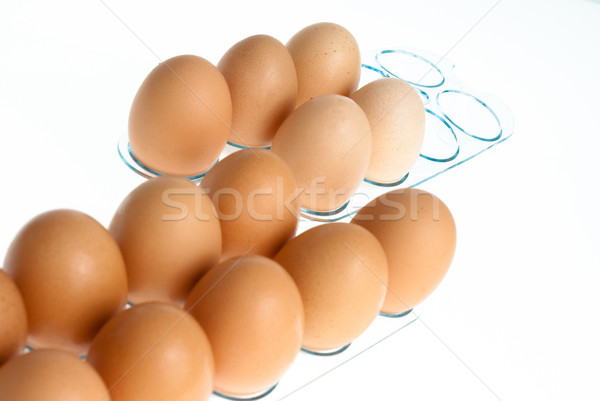 Eggs Stock photo © homydesign