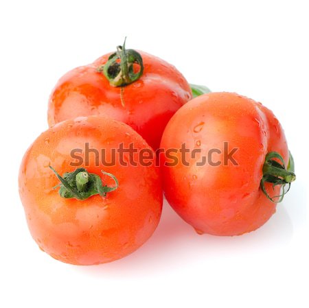 Rot voll Tomaten Reben isoliert weiß Stock foto © homydesign