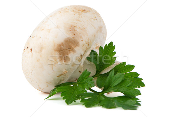Stockfoto: Champignon · champignon · peterselie · bladeren · geïsoleerd · witte