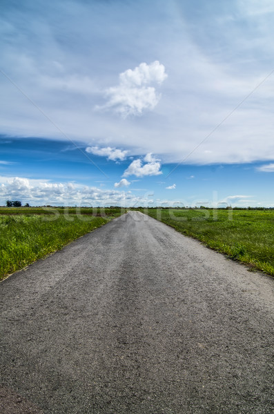 アスファルト 道路 青空 雲 草 自然 ストックフォト © homydesign