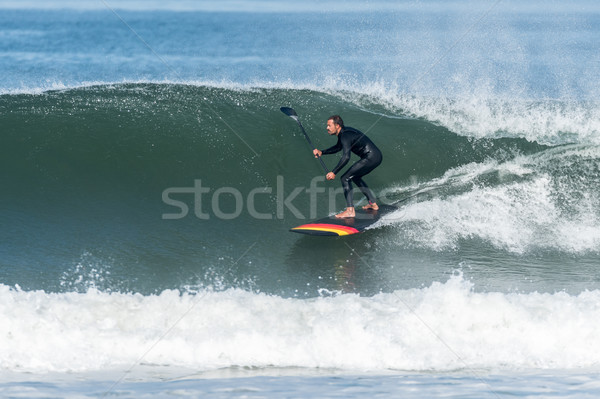 Stand up paddle surfer Stock photo © homydesign
