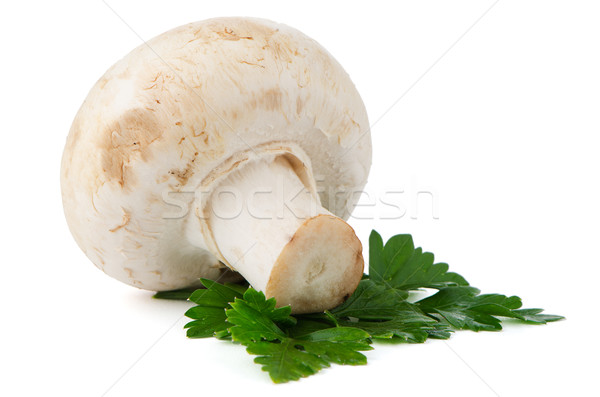 Stock photo: Champignon mushroom and parsley leaves 