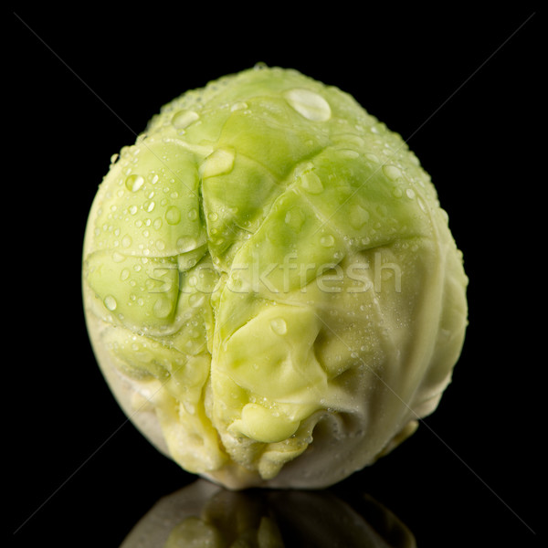 Fresh brussels sprouts Stock photo © homydesign