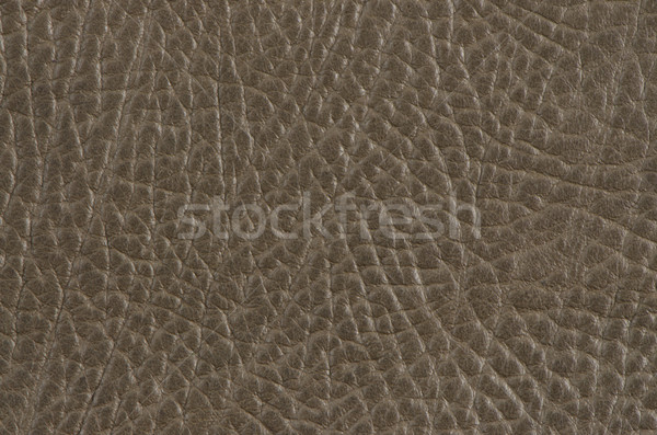 Stock photo: Beije leather