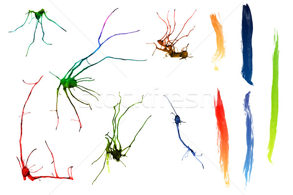 Abstract ink strokes ans splatters Stock photo © homydesign