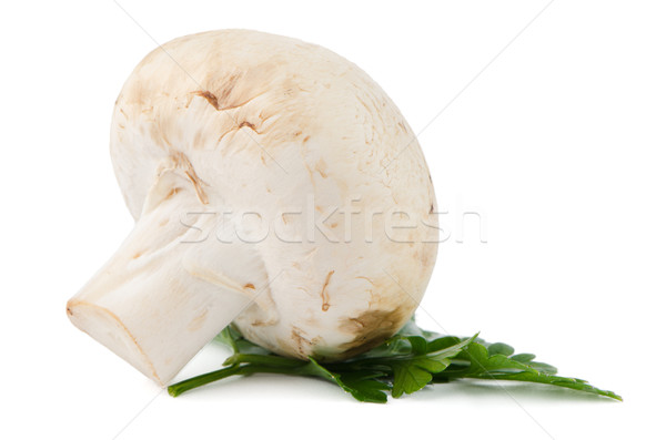 Pieczarka grzyby pietruszka pozostawia odizolowany biały Zdjęcia stock © homydesign