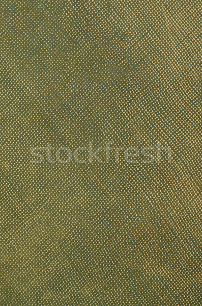 Green leather texture closeup Stock photo © homydesign