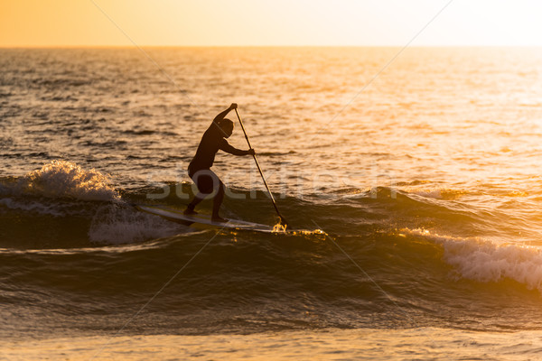 Stand up paddler silhouette at sunset Stock photo © homydesign