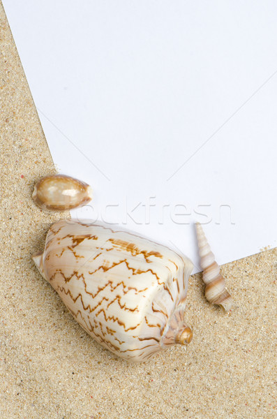 Blank paper on sand Stock photo © homydesign