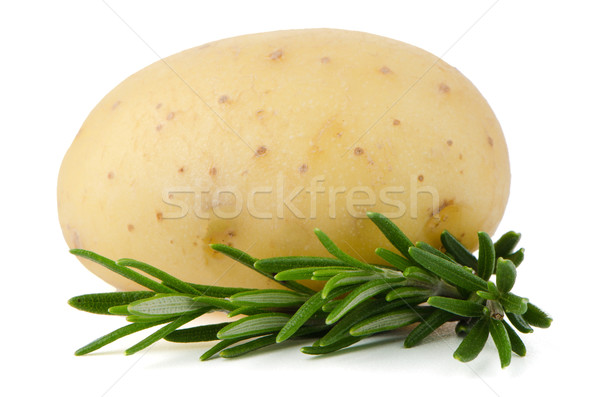 Stock photo: New potato