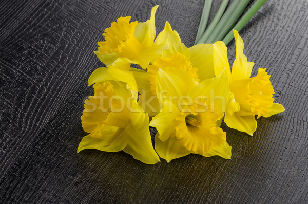 Yellow jonquil flowers Stock photo © homydesign