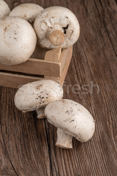 Champignons in a wooden box Stock photo © homydesign