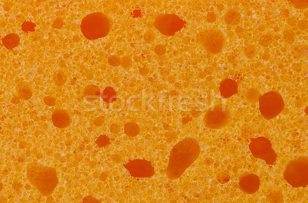 Sponge detail Stock photo © homydesign