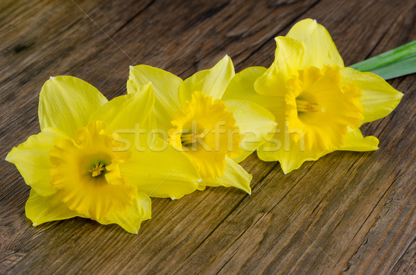 Jonquil flowers Stock photo © homydesign