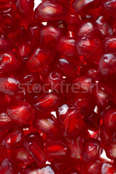 Pomegranate  Stock photo © homydesign