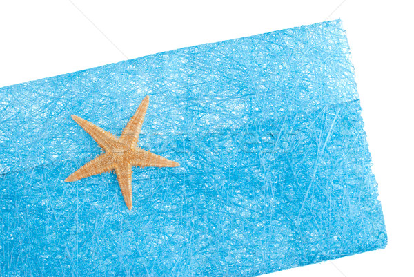 Sea star blue envelope Stock photo © homydesign