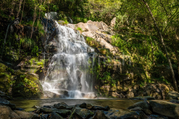 Belle cascade Portugal longue exposition eau printemps [[stock_photo]] © homydesign