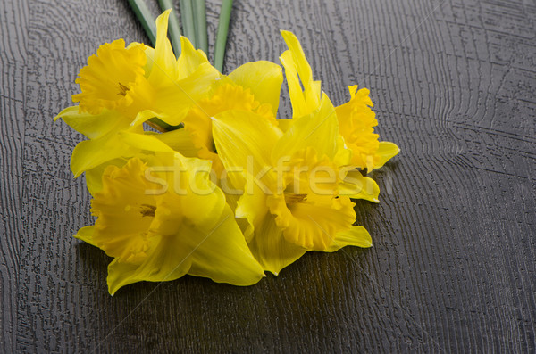Yellow jonquil flowers Stock photo © homydesign