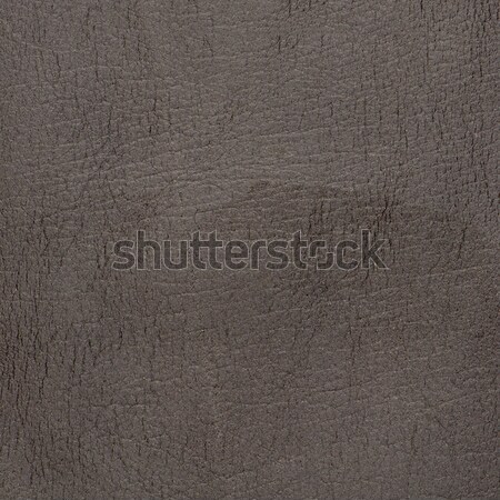 Grey leather texture closeup Stock photo © homydesign