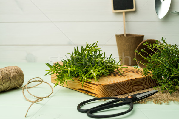 Rosemary and thyme Stock photo © homydesign